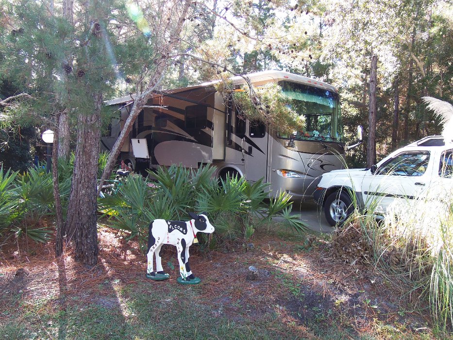 05-Skip and Dyann's campsite.jpg